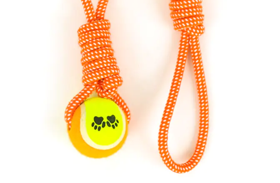 Les jouets pour chiens de compagnie avec poignée en corde de coton et tennis conviennent-ils à une utilisation intérieure et extérieure ?